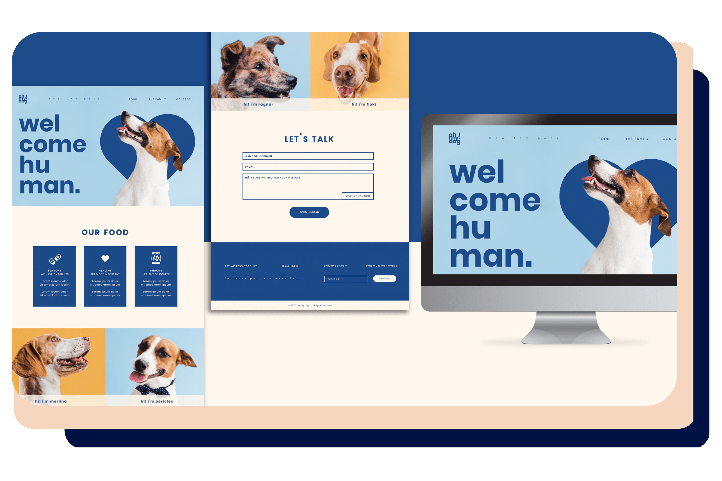 Email Marketing and Copywriting Services Ahlion Pet Care Digital Marketing Agency Shopify